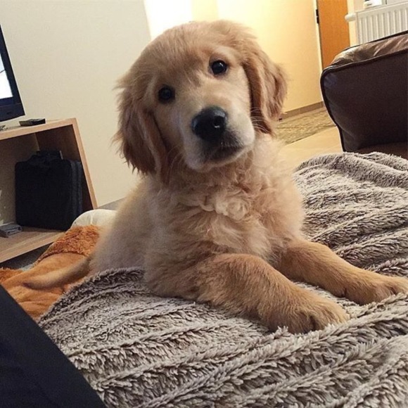 Meet your Posher, E - Picture 1 of 1